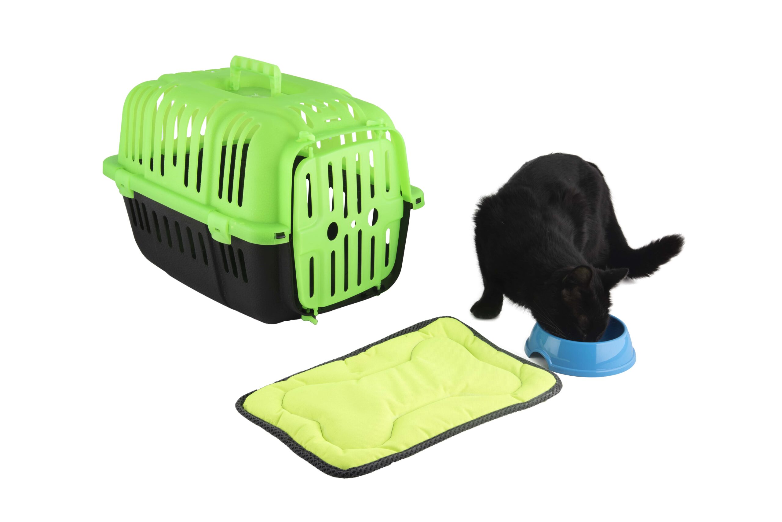 Cat and Dog Carry Box